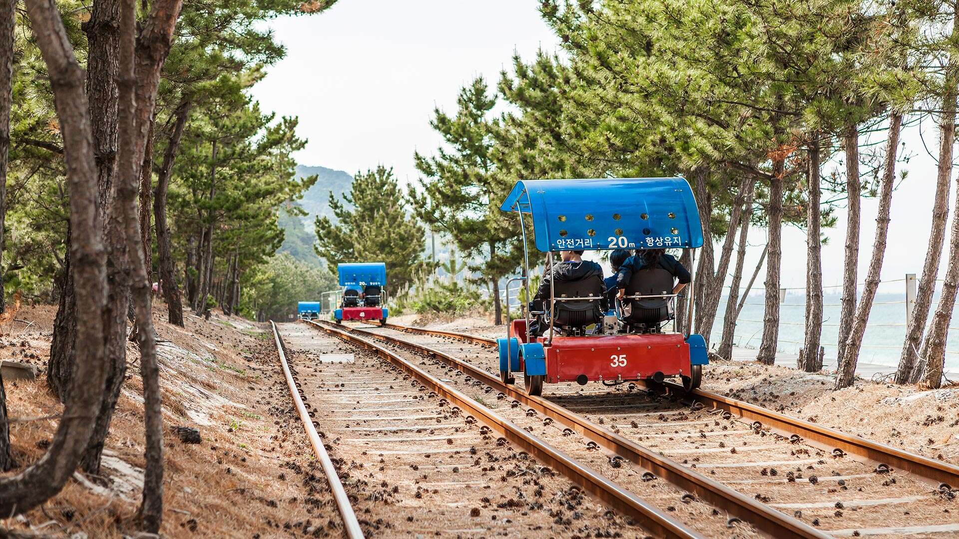 정동진레일바이크