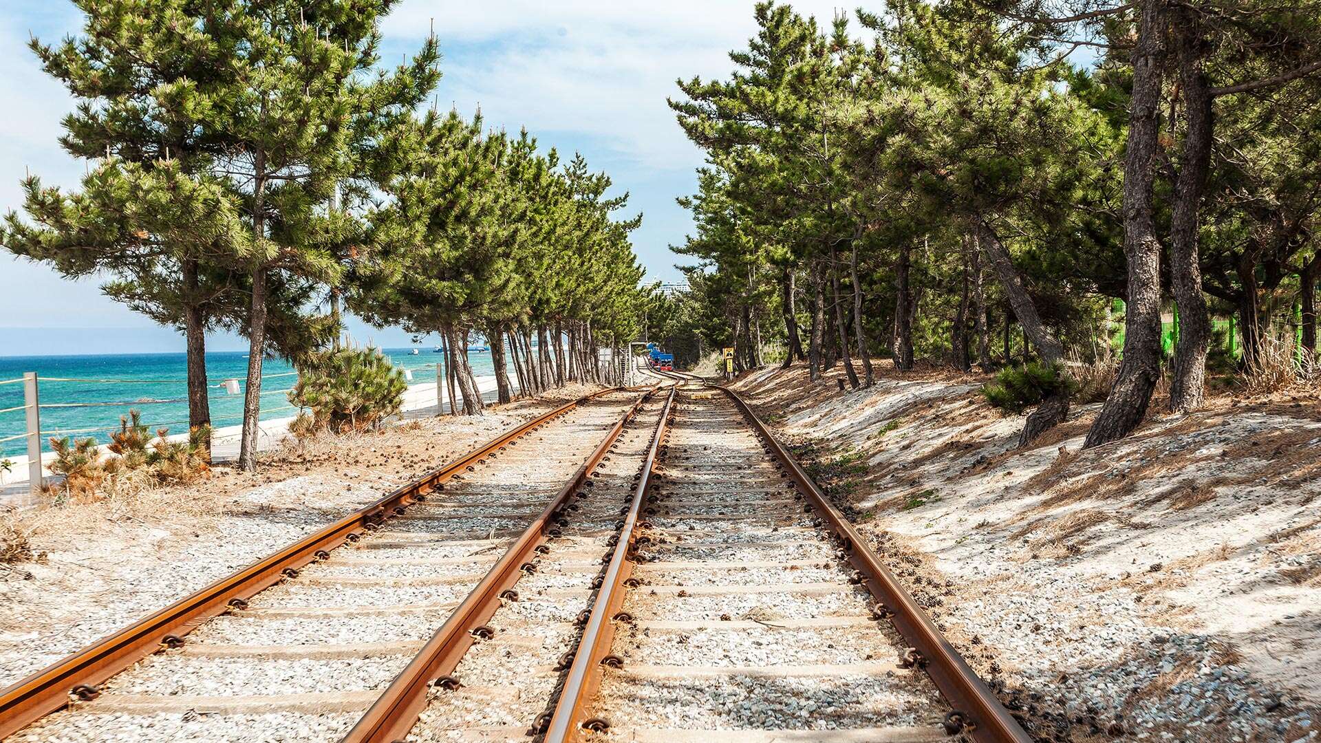 정동진레일바이크