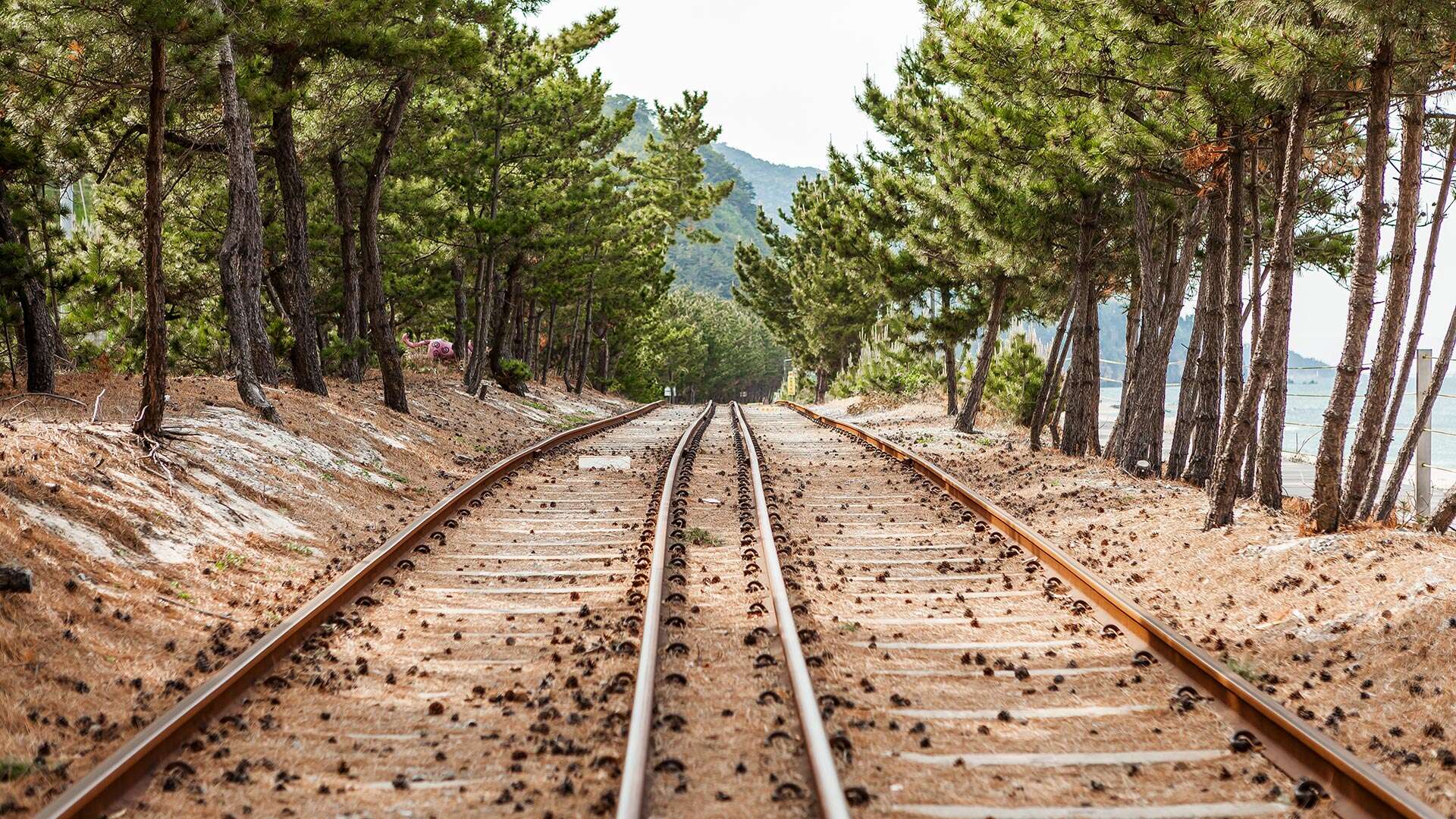 정동진레일바이크