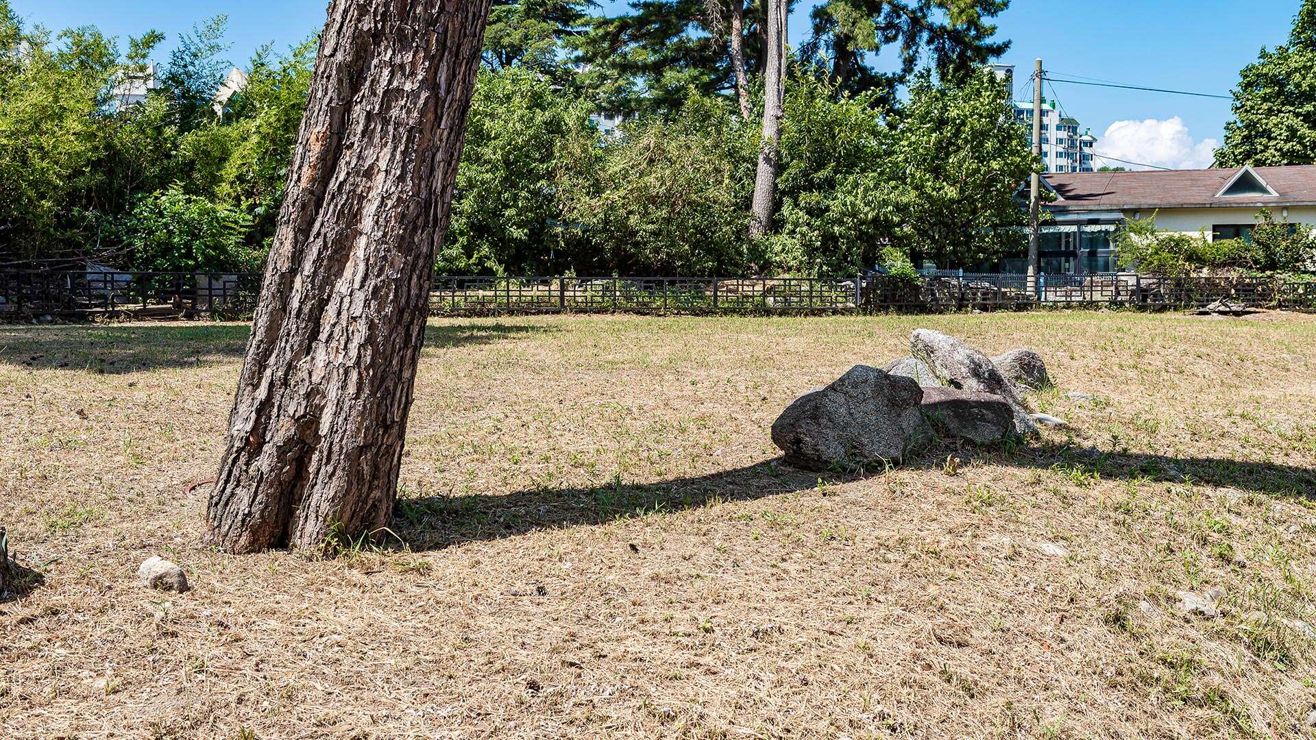 강릉초당동유적