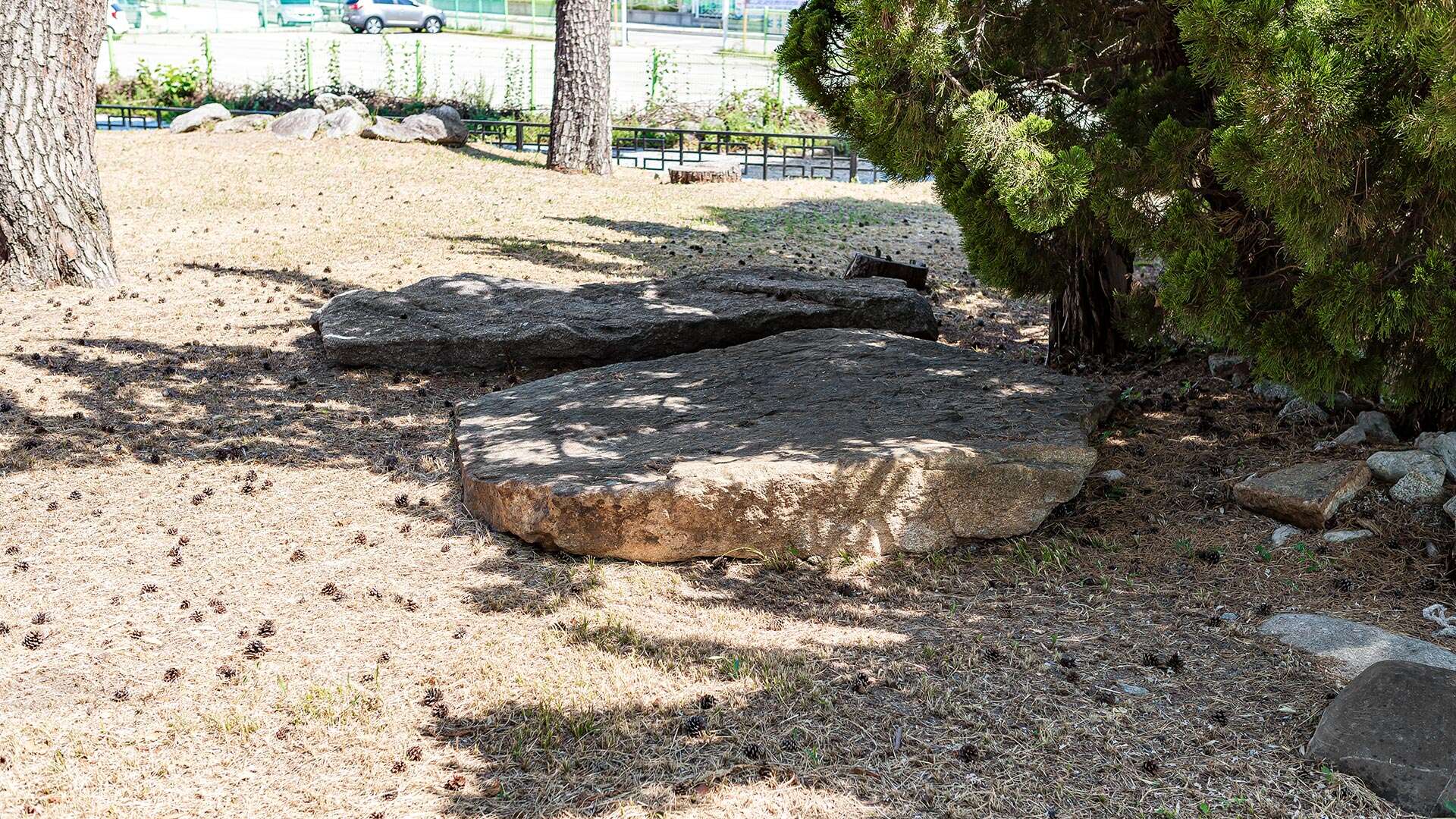 강릉초당동유적