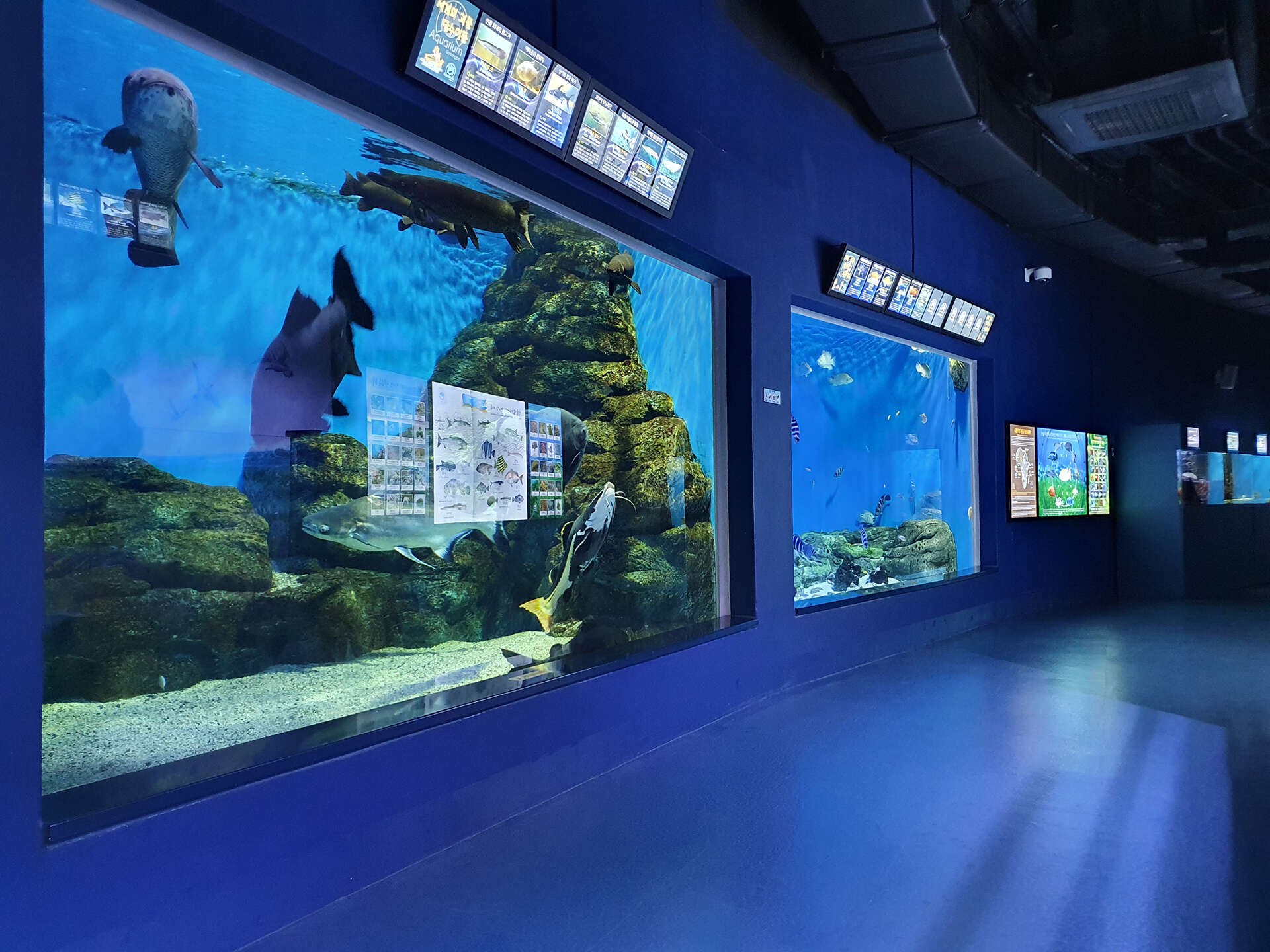 경포아쿠아리움