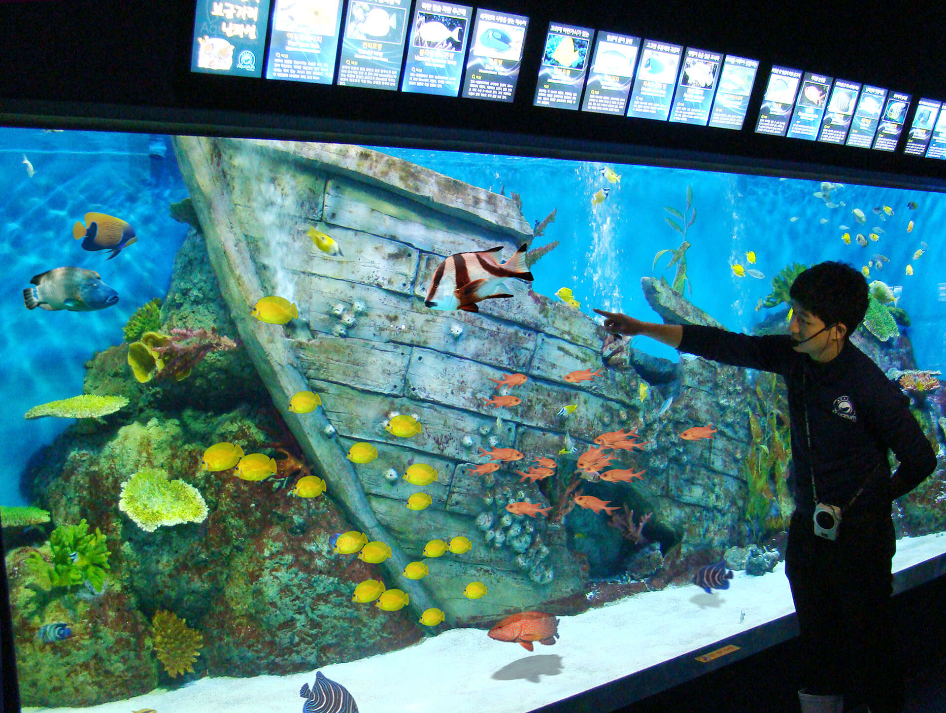 경포아쿠아리움