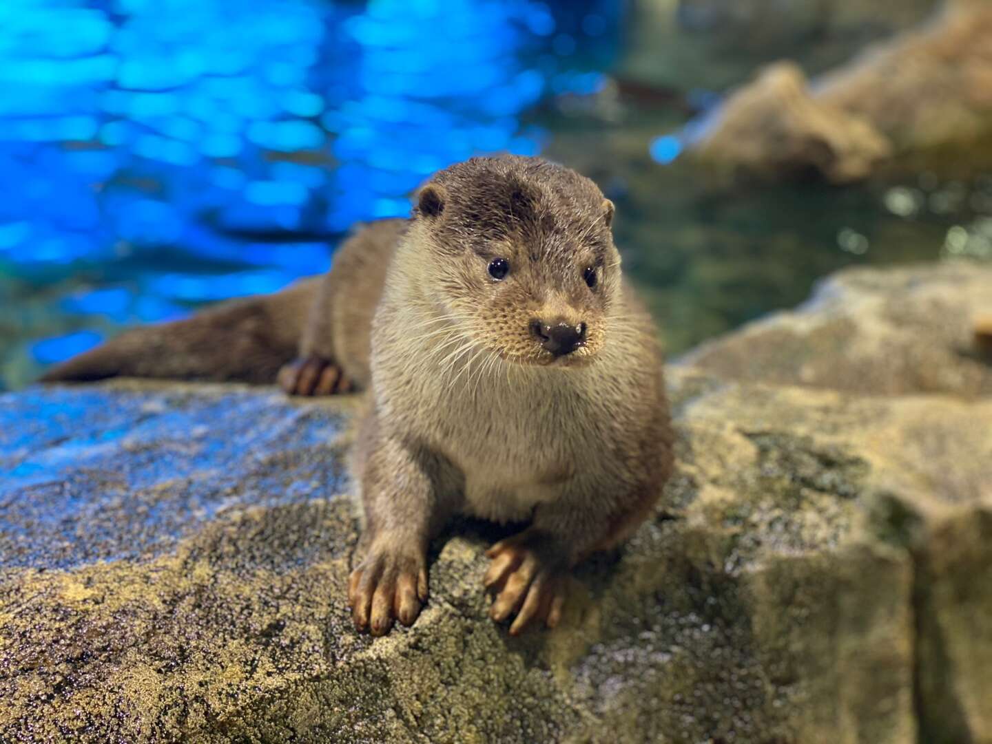 경포아쿠아리움