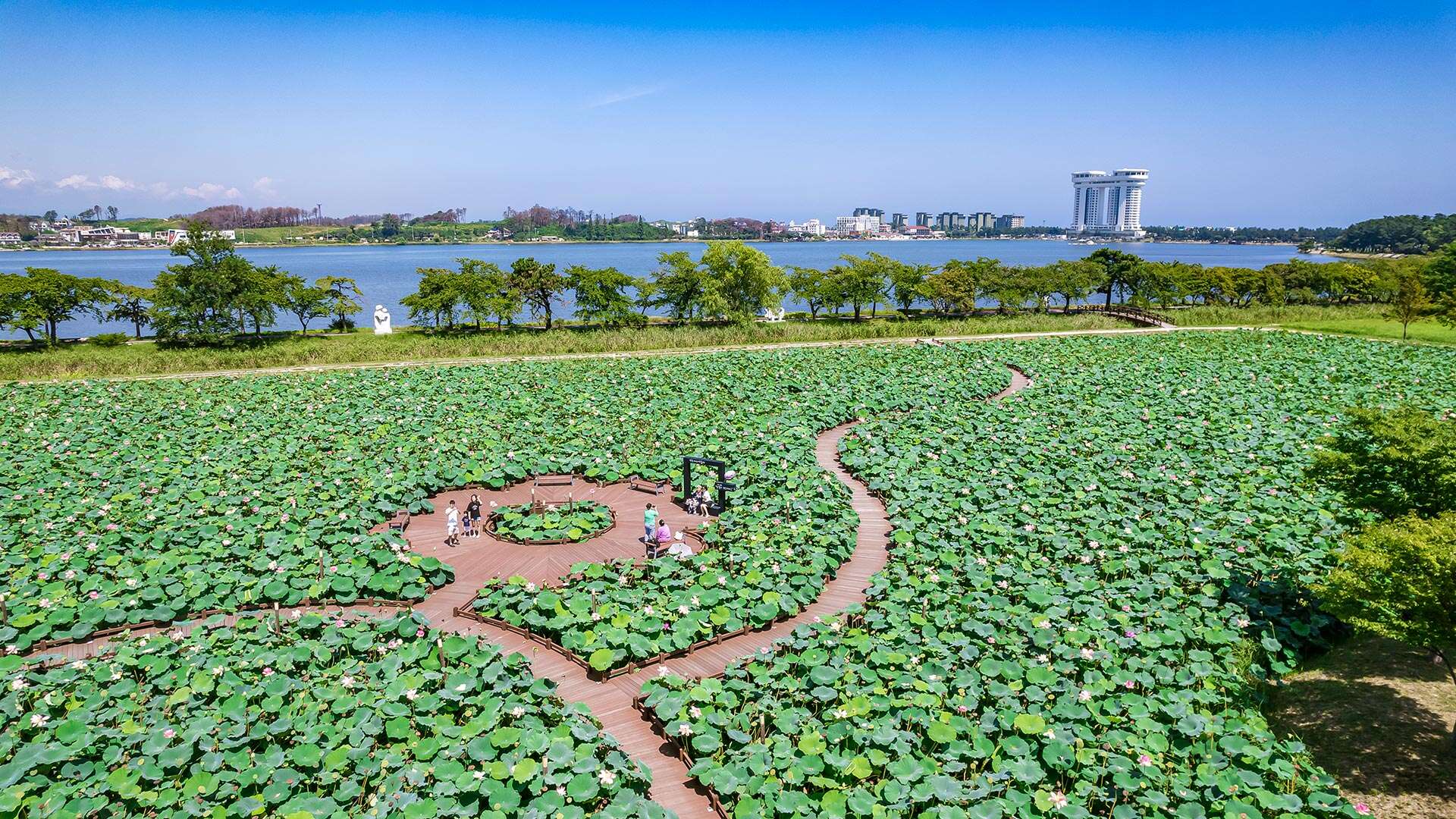 경포가시연습지