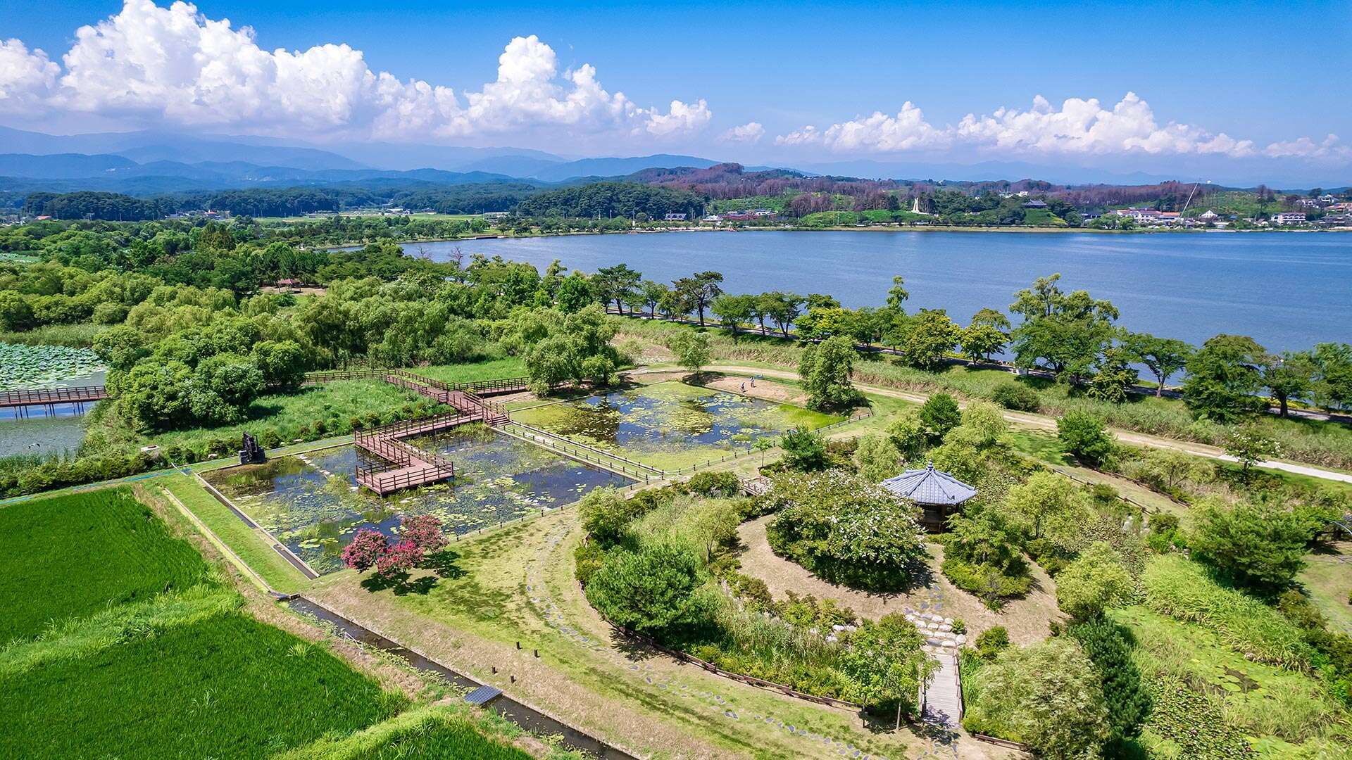 경포가시연습지