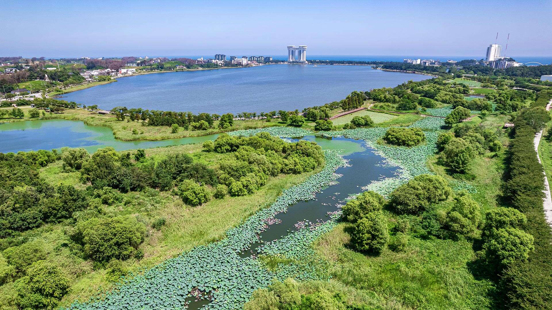 경포가시연습지