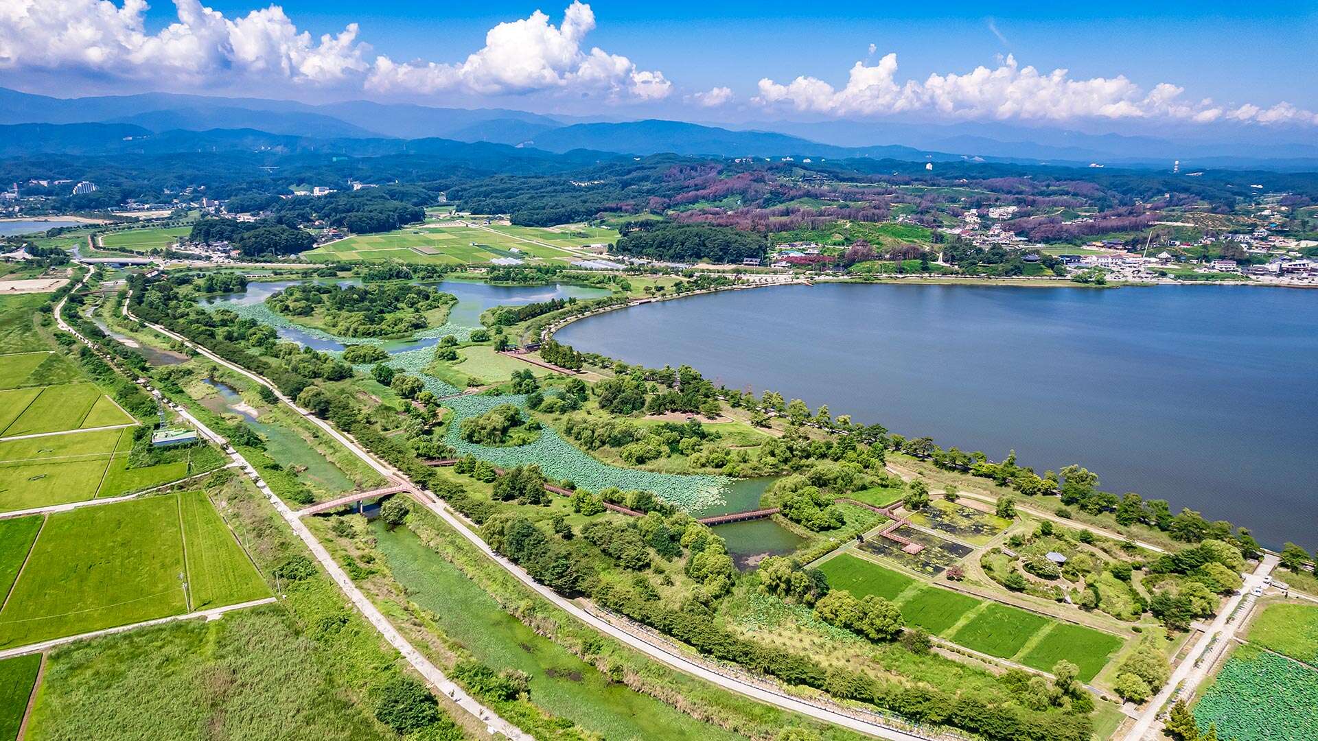 경포가시연습지