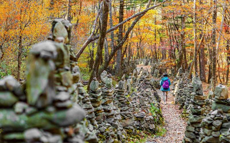 노추산모정탑길