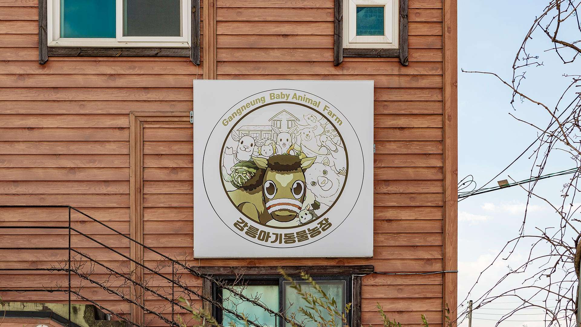 강릉아기동물농장