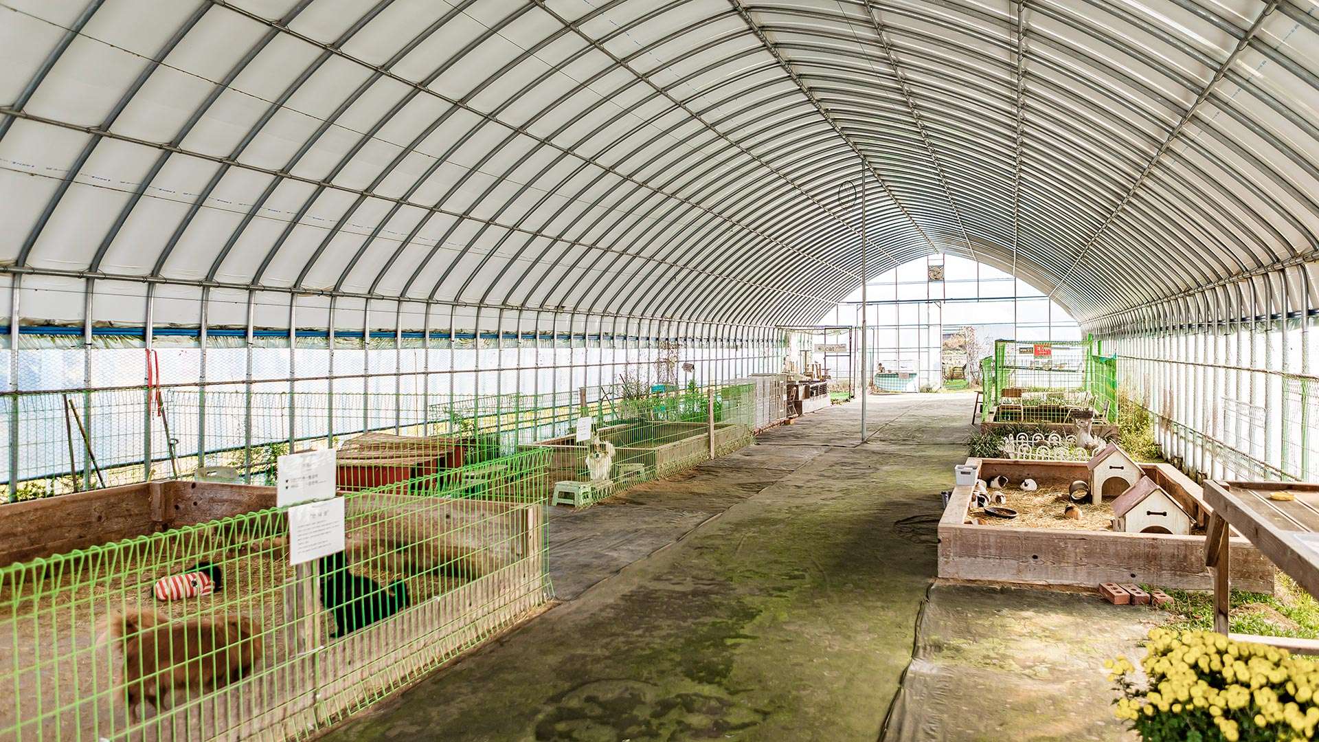 강릉아기동물농장