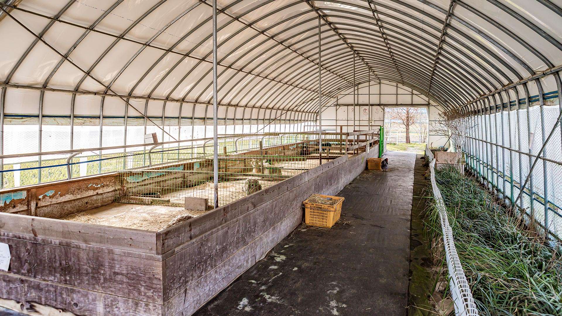 강릉아기동물농장