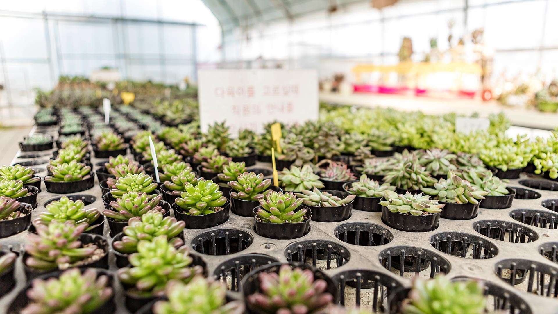 강릉아기동물농장