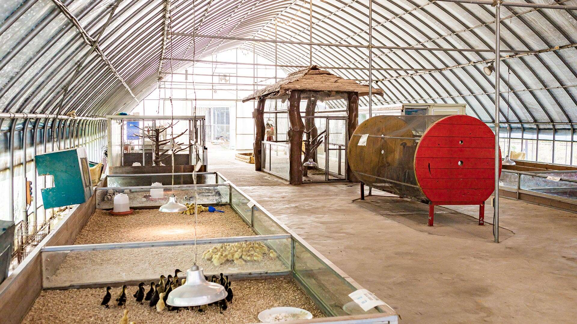 강릉쌍둥이동물농장