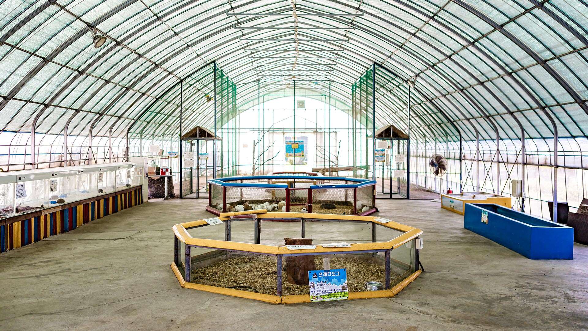 강릉쌍둥이동물농장