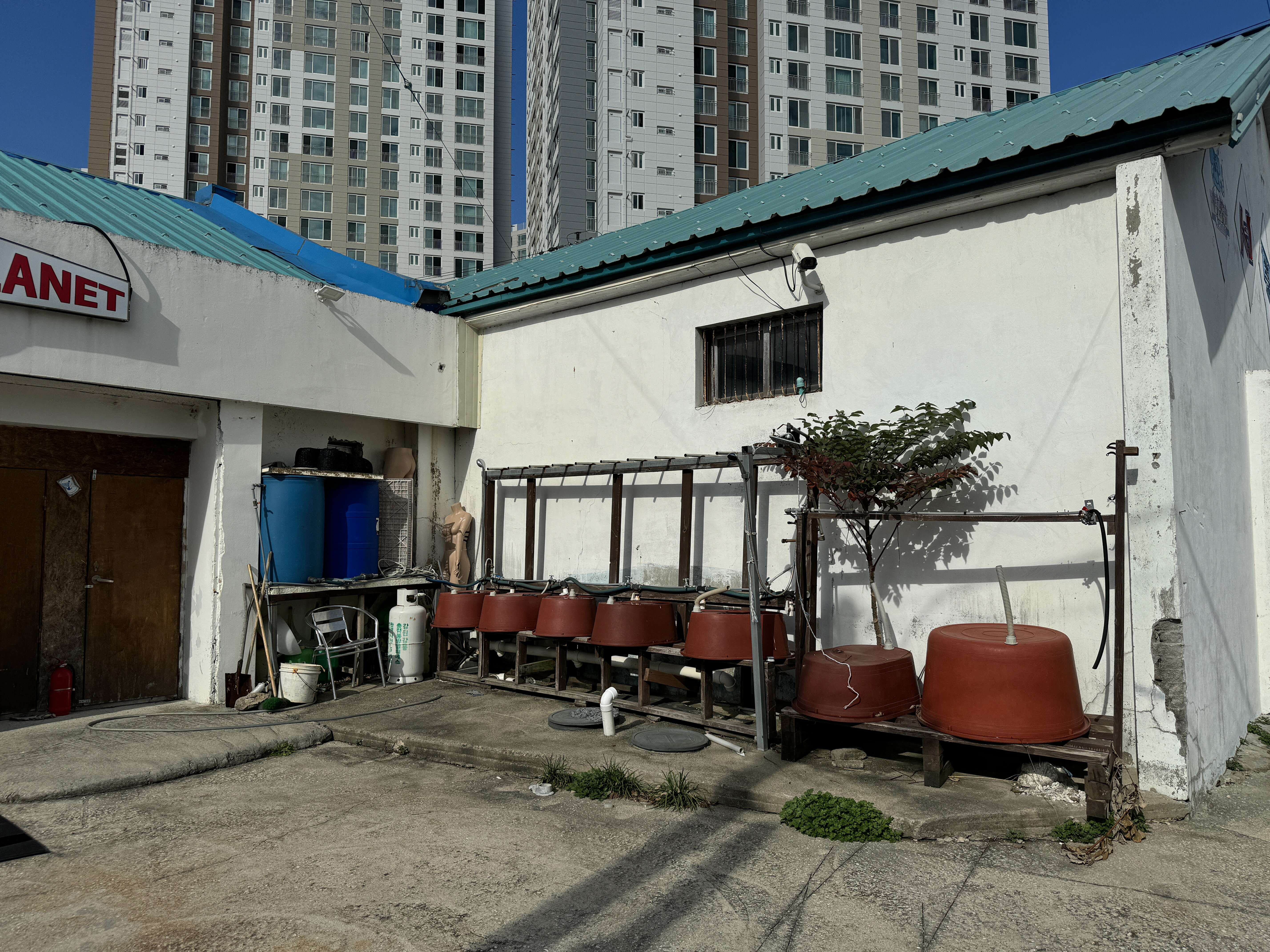 마린플래닛 다이브리조트