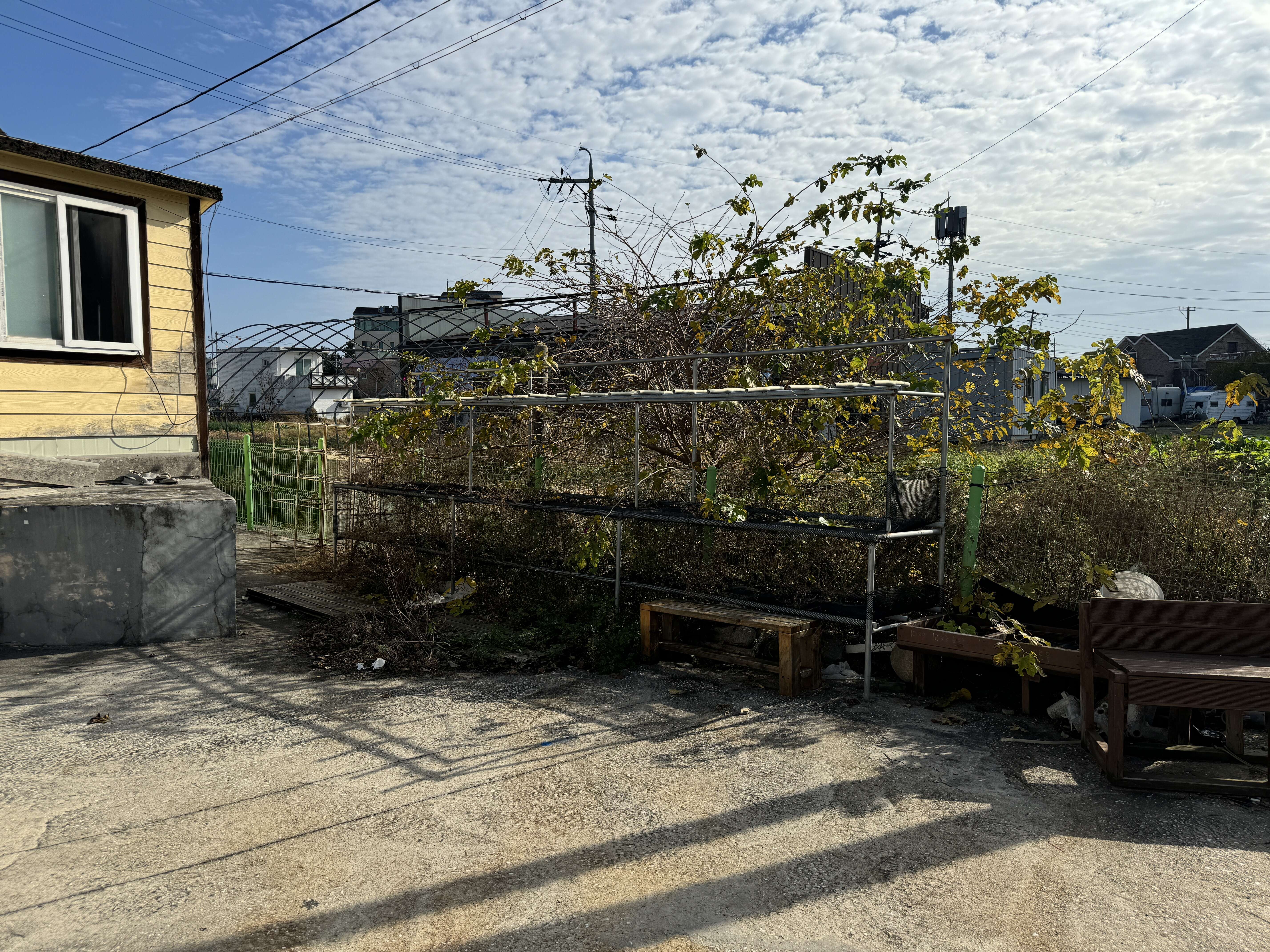 마린플래닛 다이브리조트