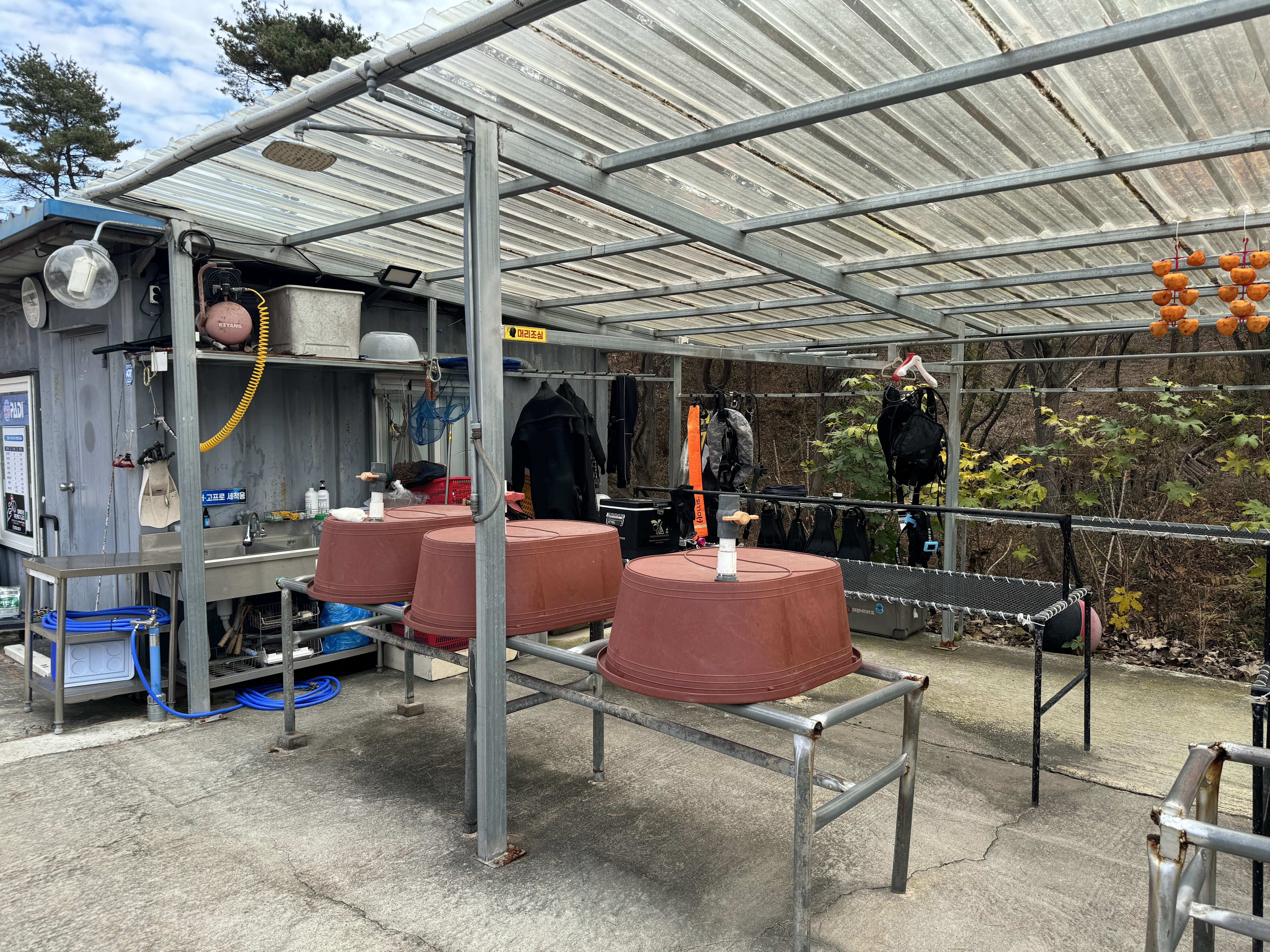 경포다이브리조트(스쿠버다이빙)