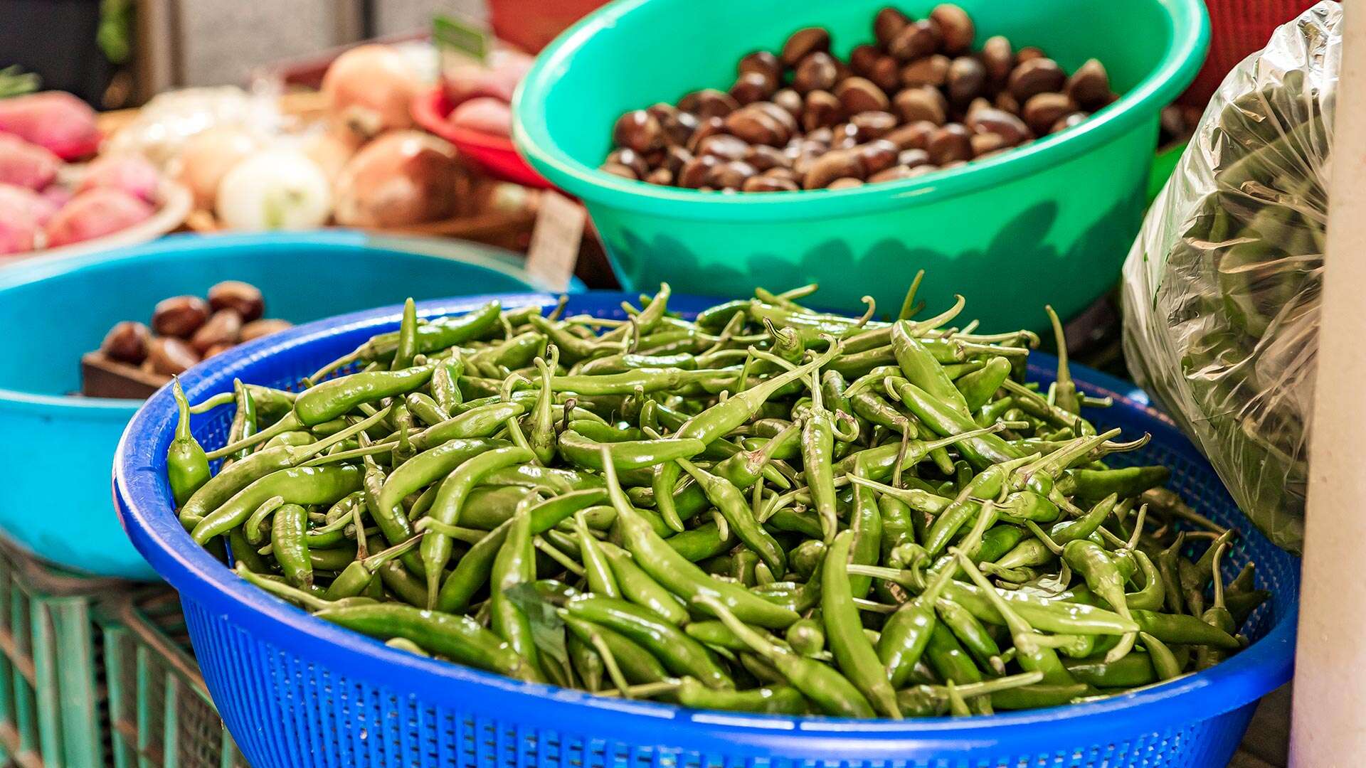 주문진종합시장