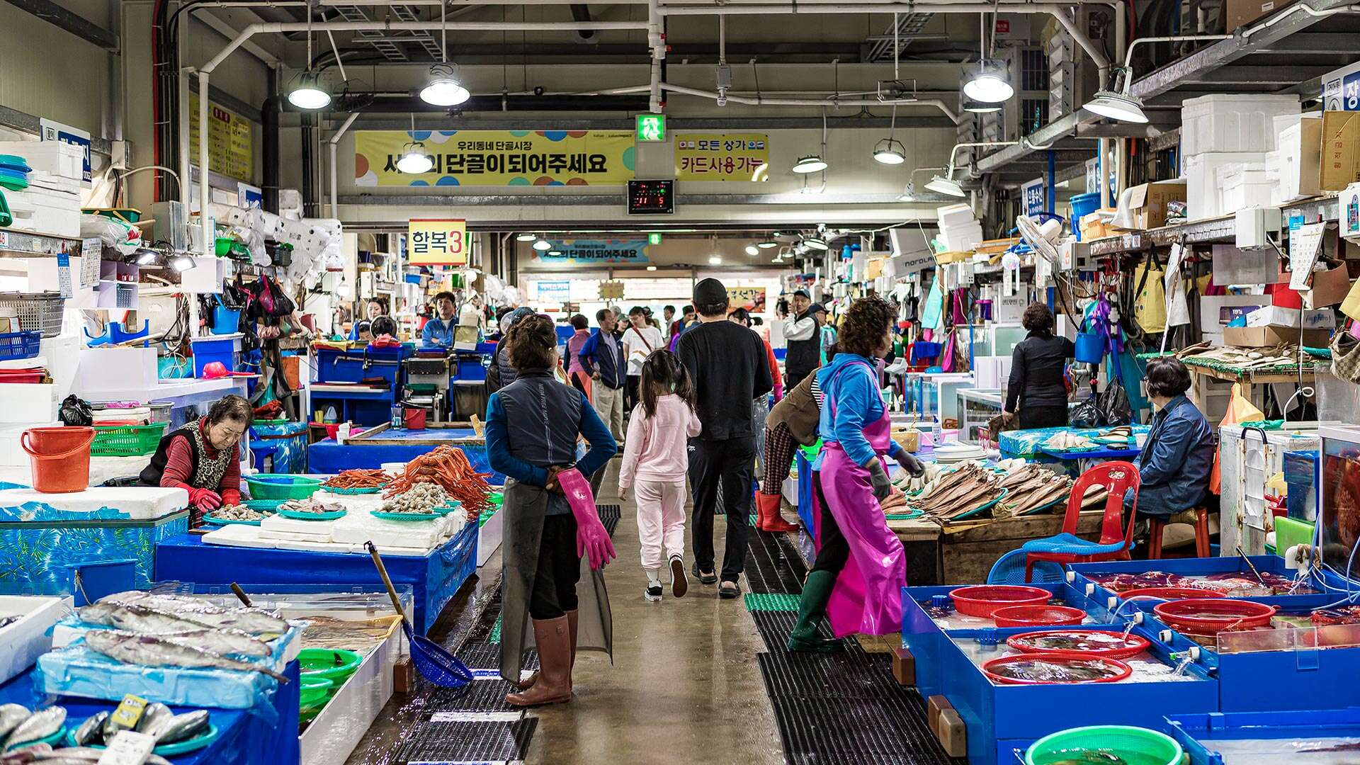 주문진좌판풍물시장