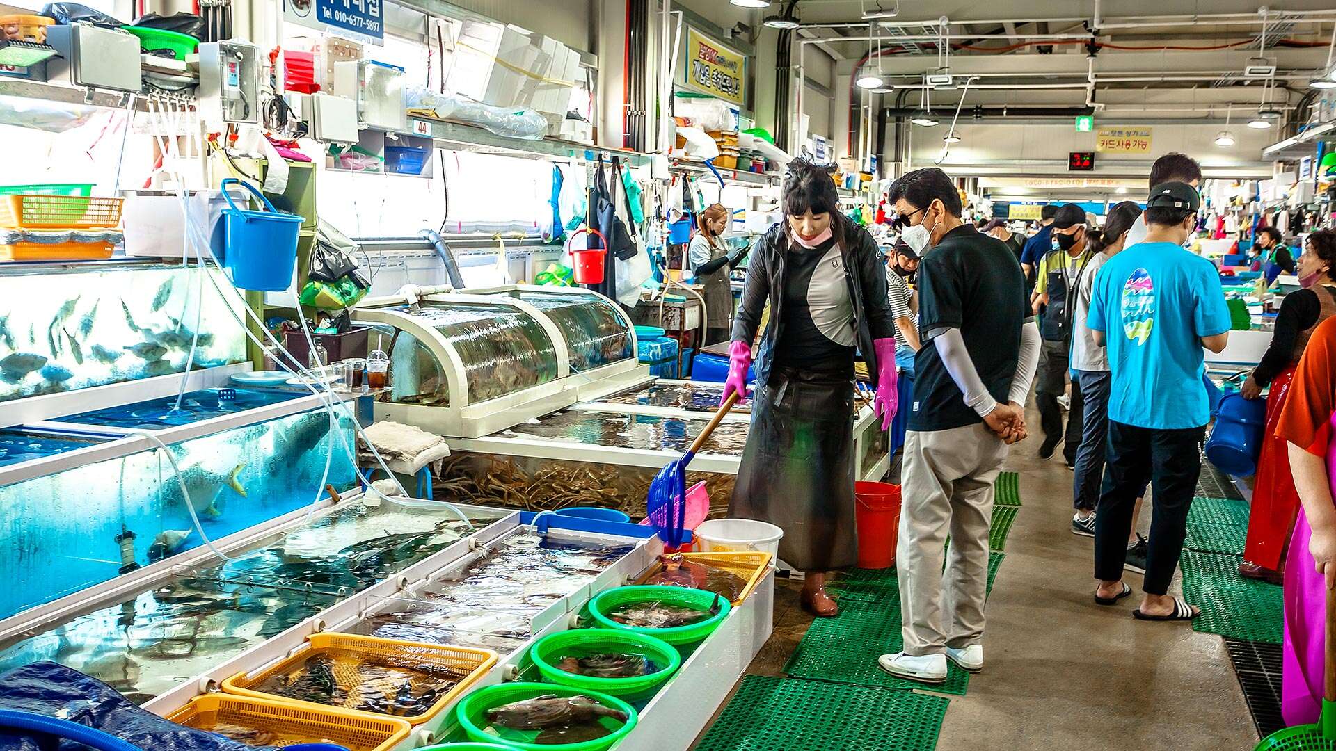 주문진좌판풍물시장