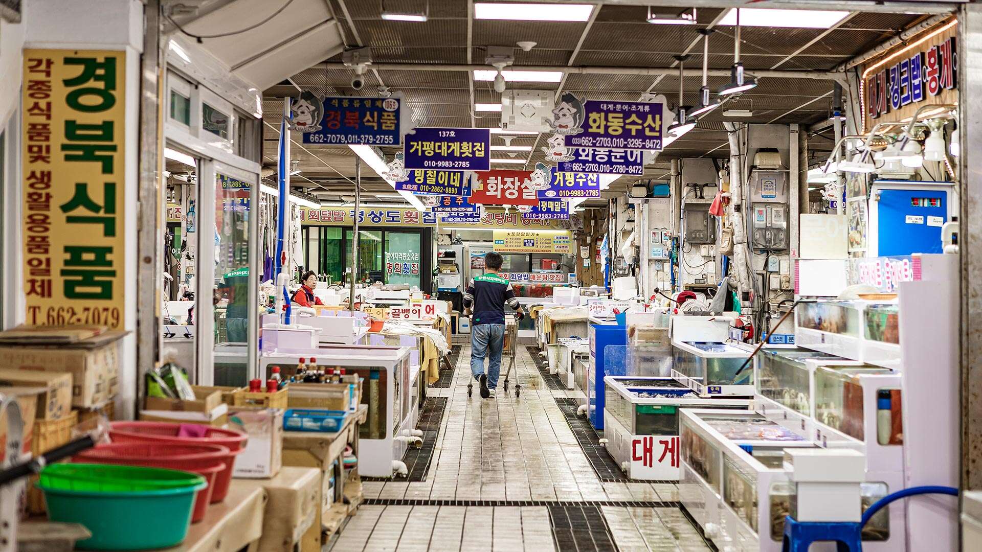 주문진수산시장