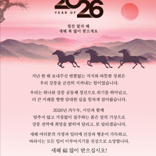 강릉소식