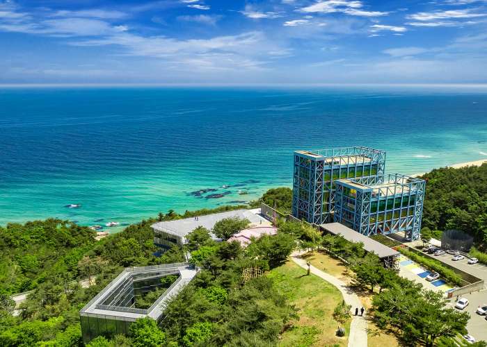 하슬라 아트월드 뮤지엄