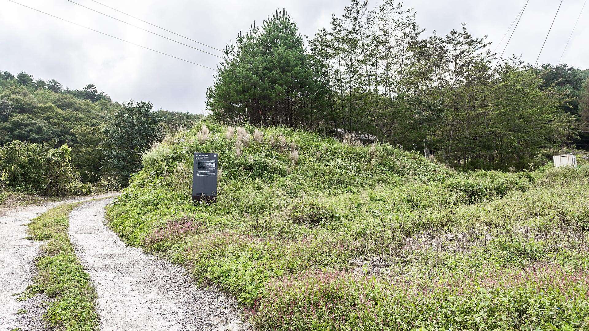 보광리분청자요지