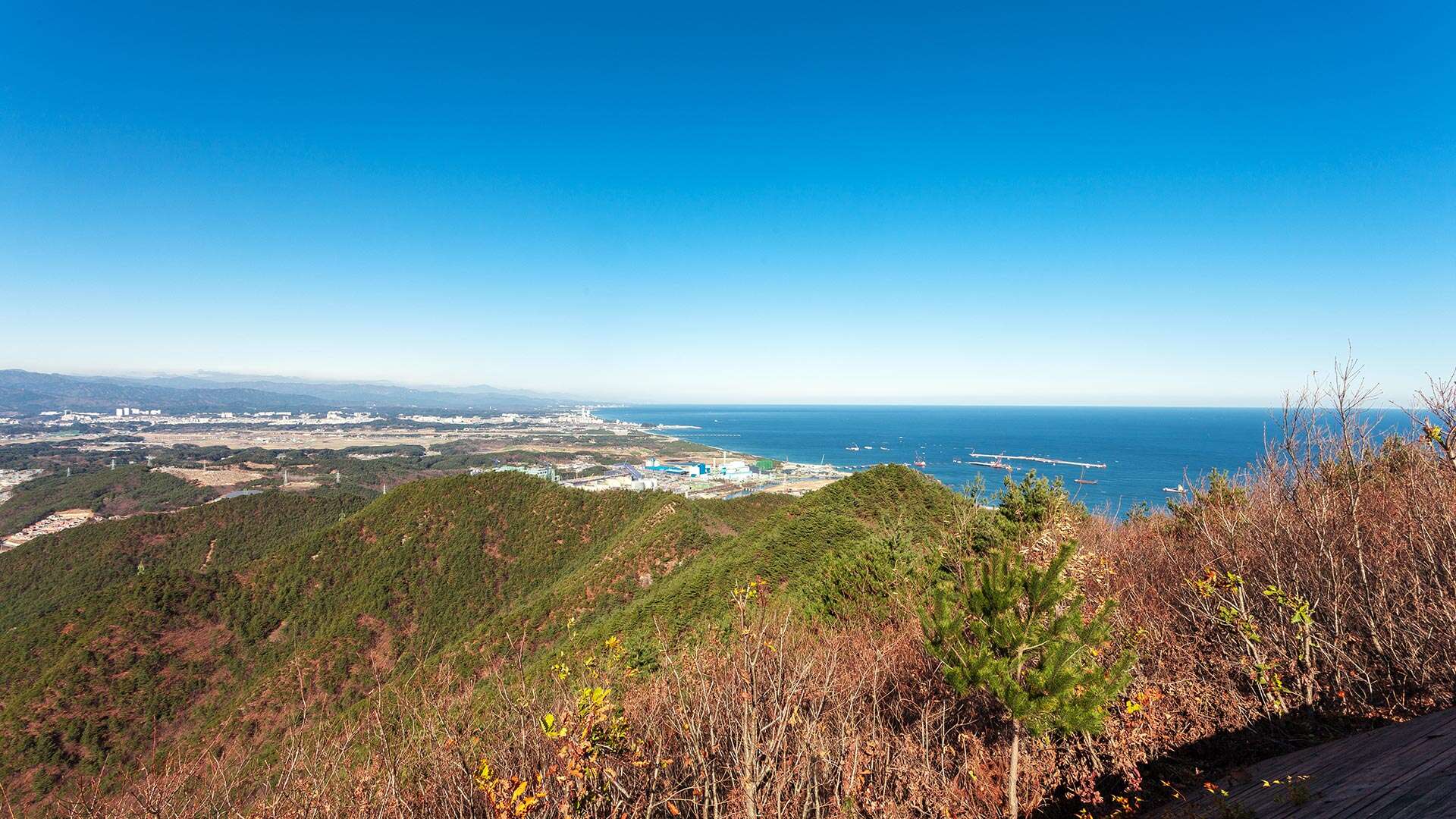 해파랑길 36코스