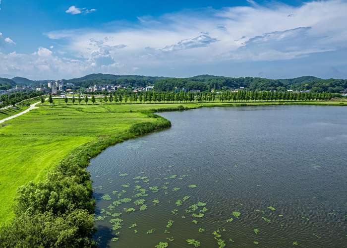 경포생태저류지