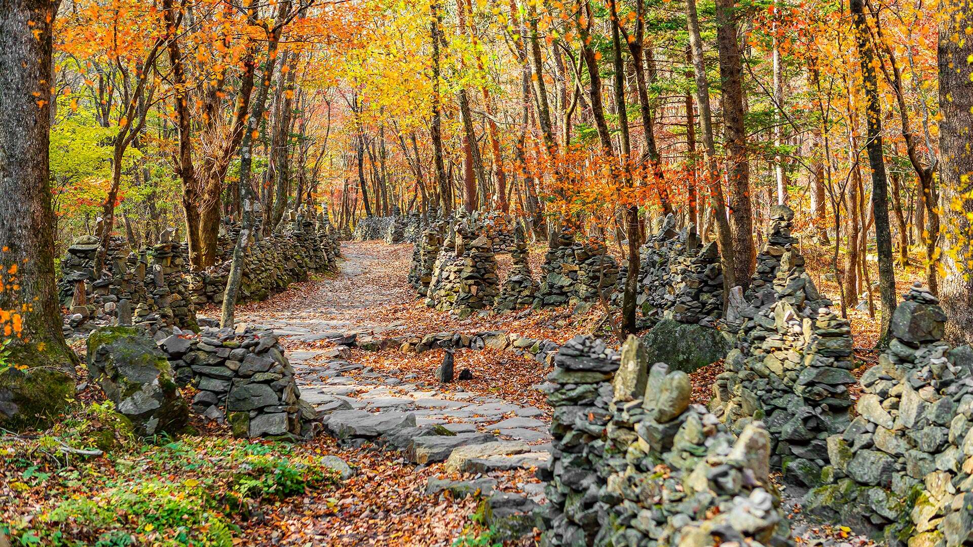 노추산모정탑길