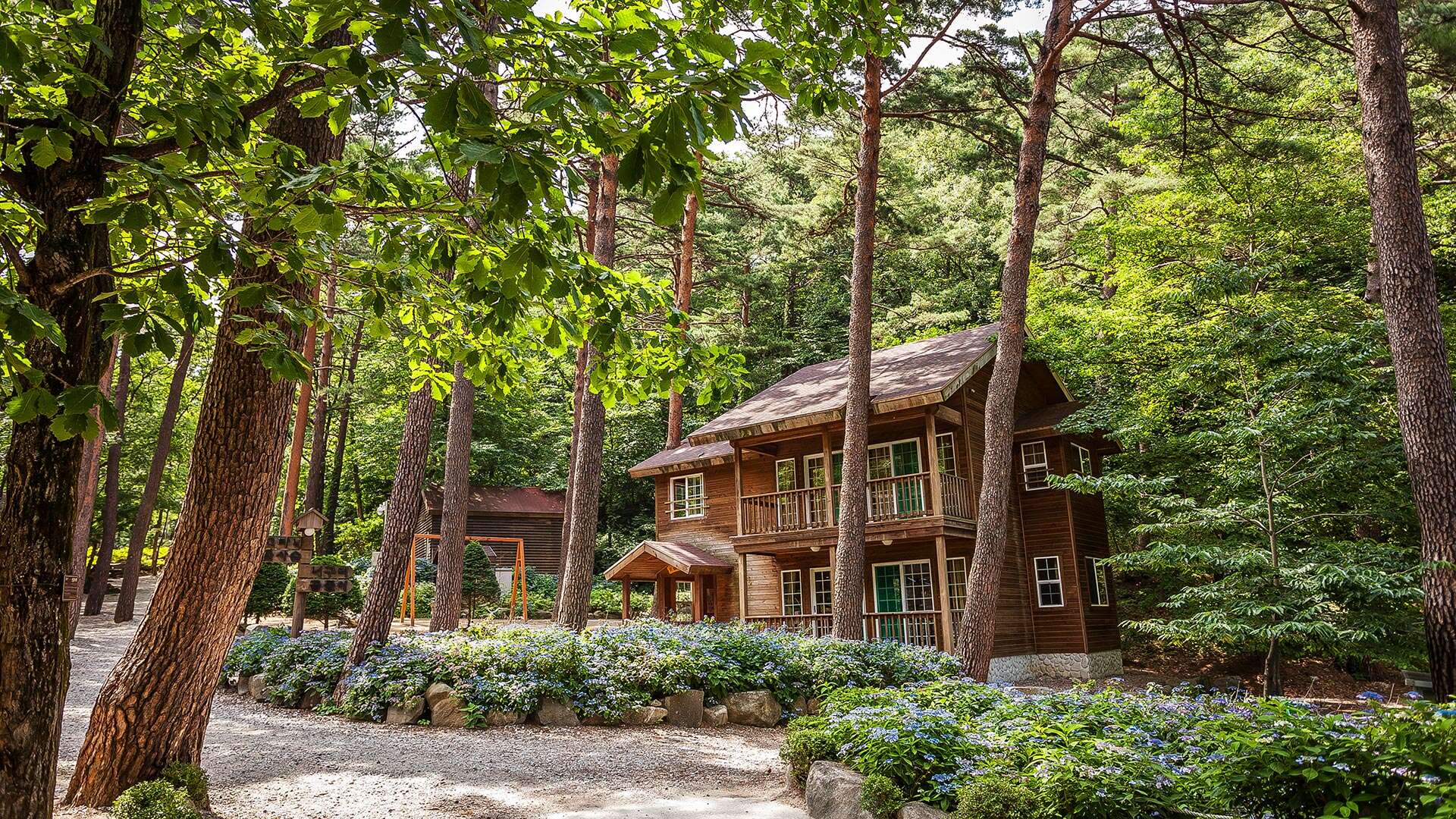 대관령자연휴양림