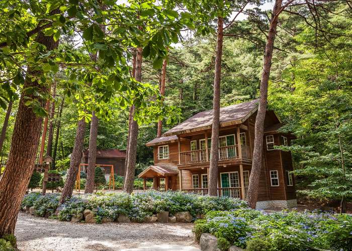 대관령자연휴양림