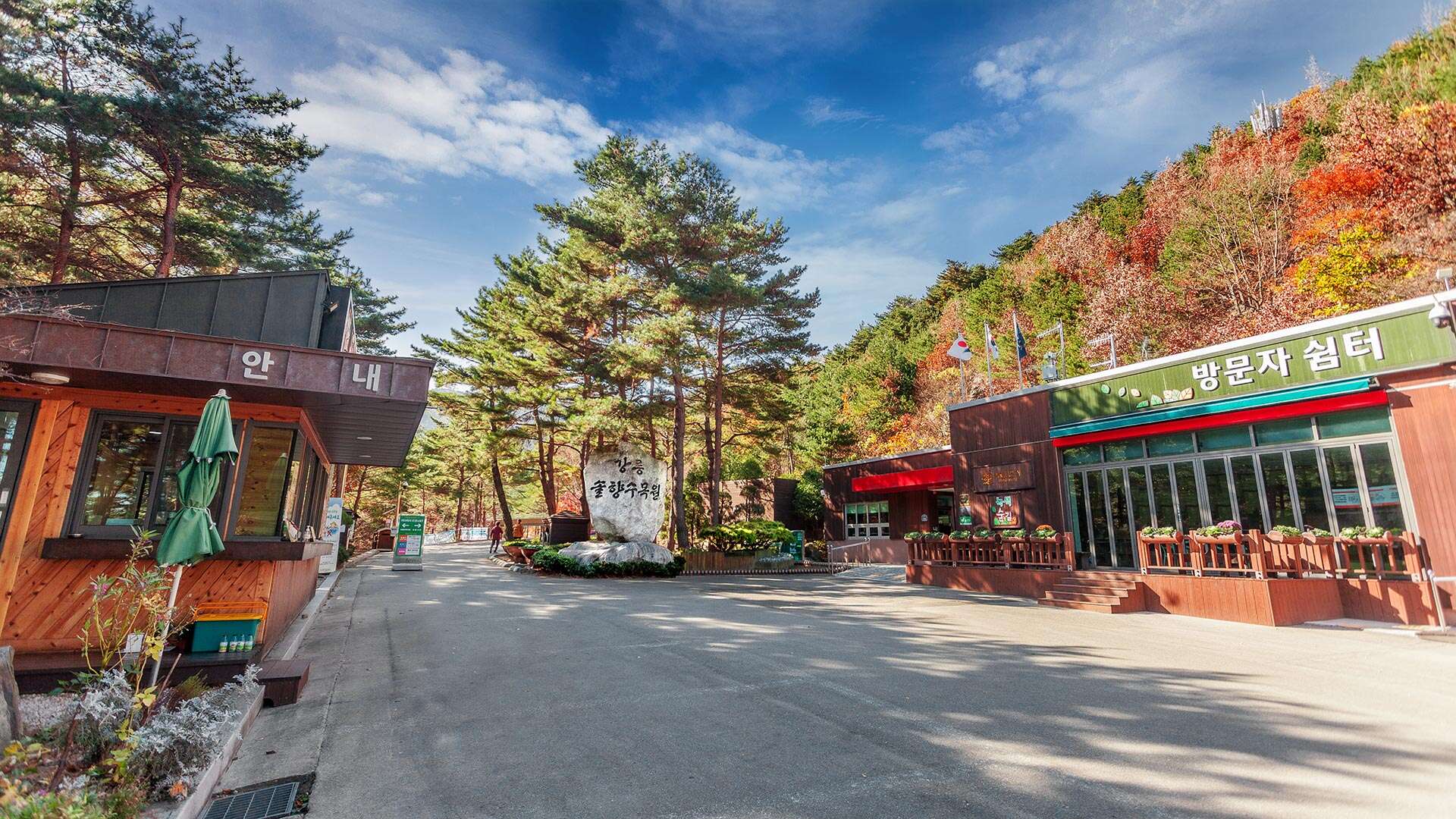 강릉솔향수목원