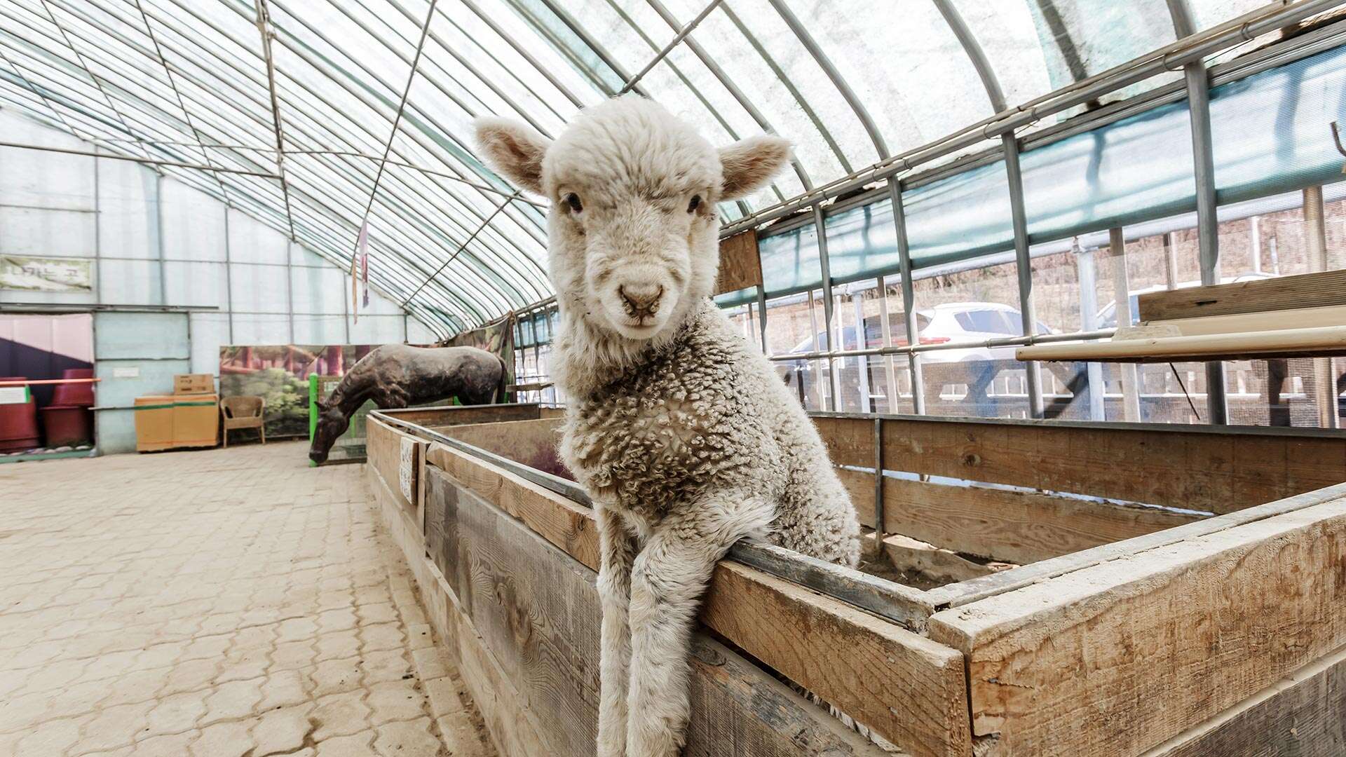 자연아놀자 체험학습박물관