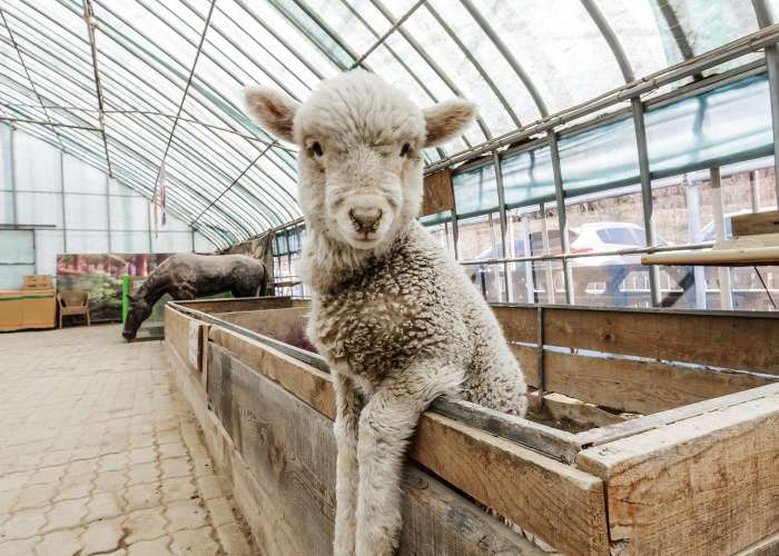 자연아놀자 체험학습박물관