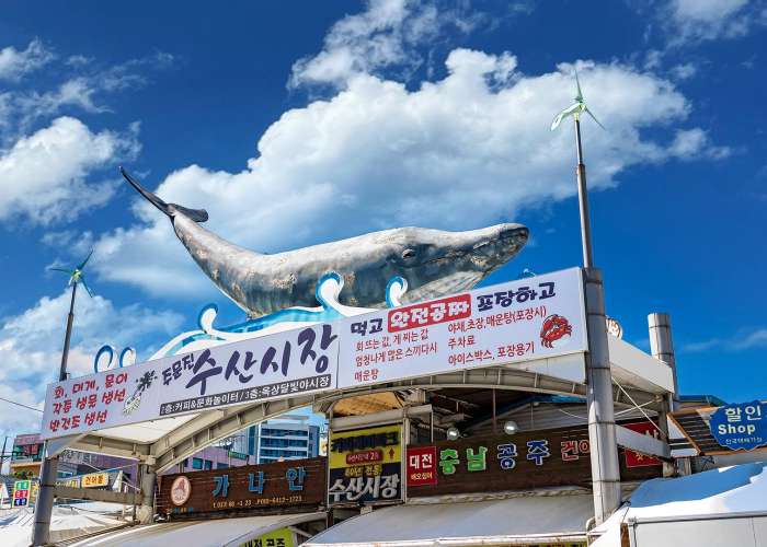 주문진건어물시장