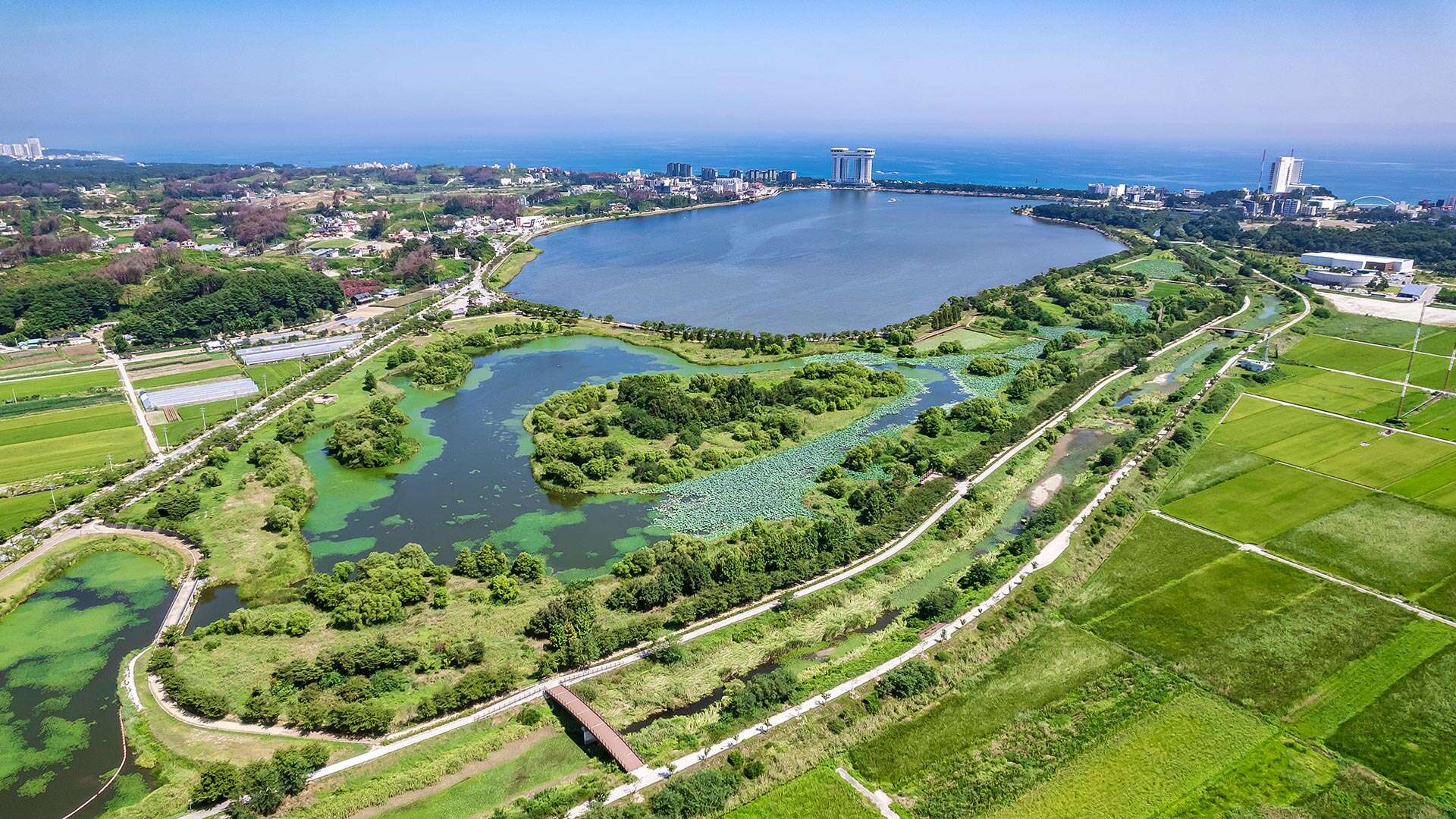 경포가시연습지