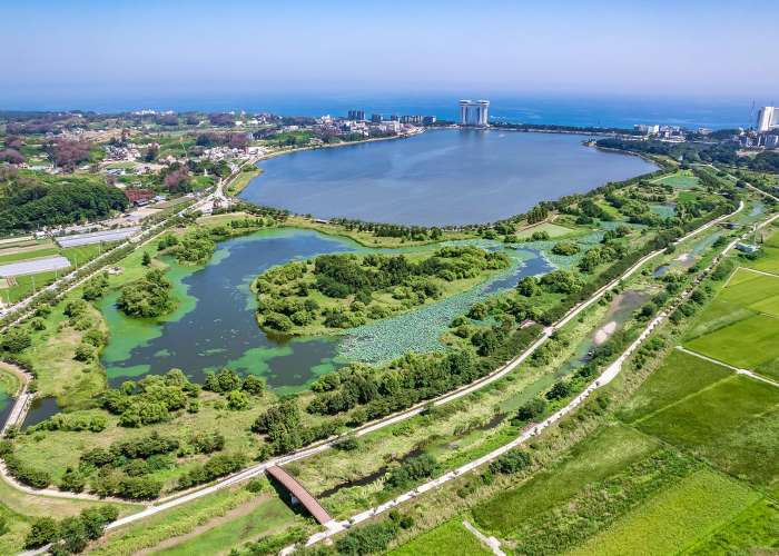 경포가시연습지