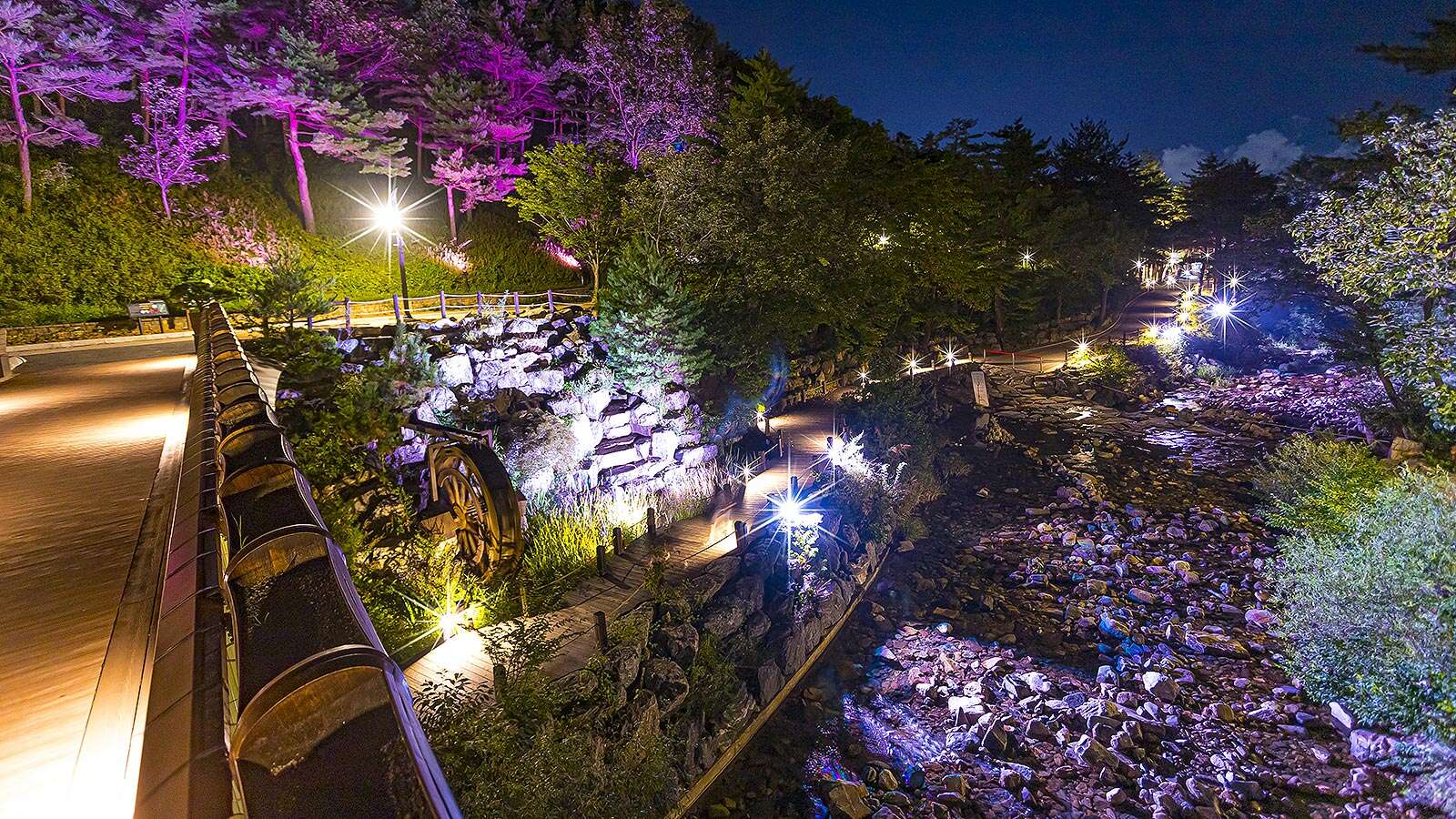 Gangneung Solhyang Arboretum with night lights 04's Night is<br>More Beautiful Than Its Day