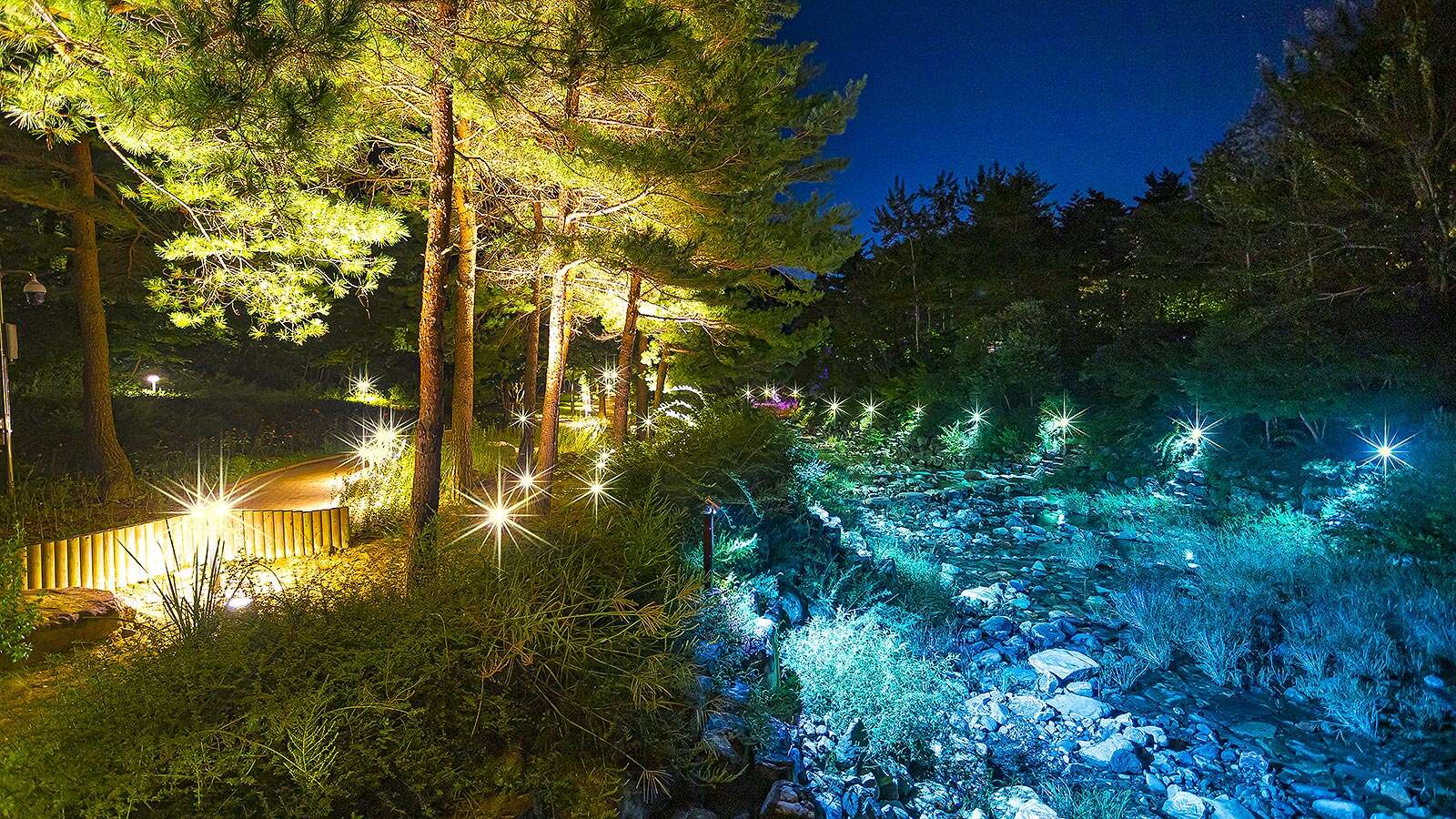 Gangneung Solhyang Arboretum with night lights 02's Night is<br>More Beautiful Than Its Day