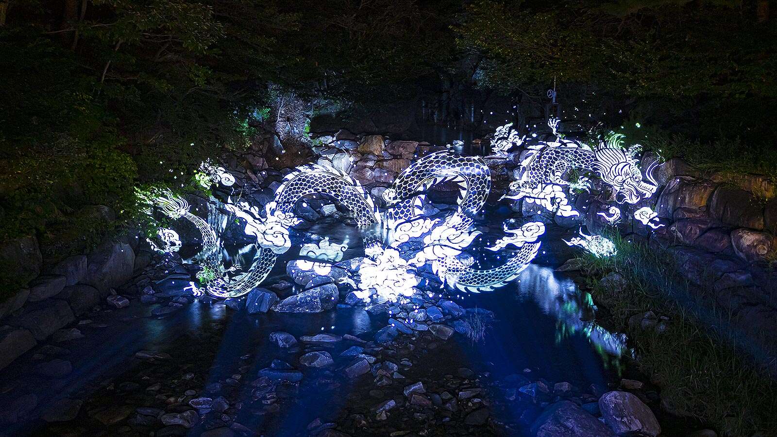 Gangneung Solhyang Arboretum with night lights 01's Night is<br>More Beautiful Than Its Day