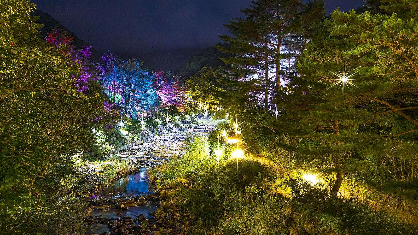 Gangneung Solhyang Arboretum with night lights 03's Night is<br>More Beautiful Than Its Day