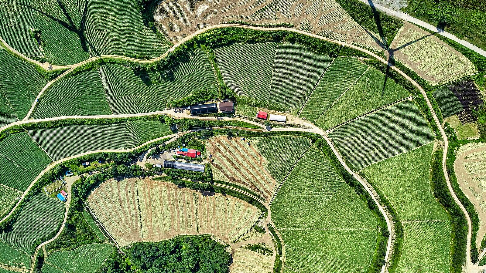 Anbandegi Village seen from the sky's Night is<br>More Beautiful Than Its Day