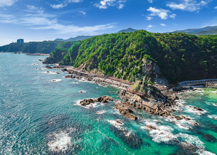 MBTI 여행자 대문자E외향형 여행코스