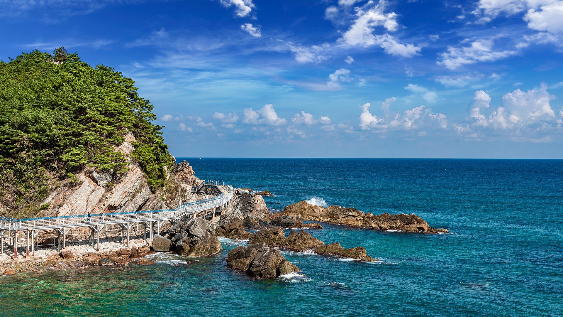 Jeongdong-Simgok Badabuchae-gil 01 with a view of the sea and the sea trail