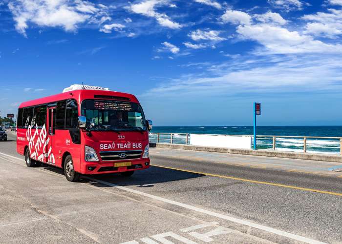 달리는 낭만 카페 여행시티(SEA TEA)버스