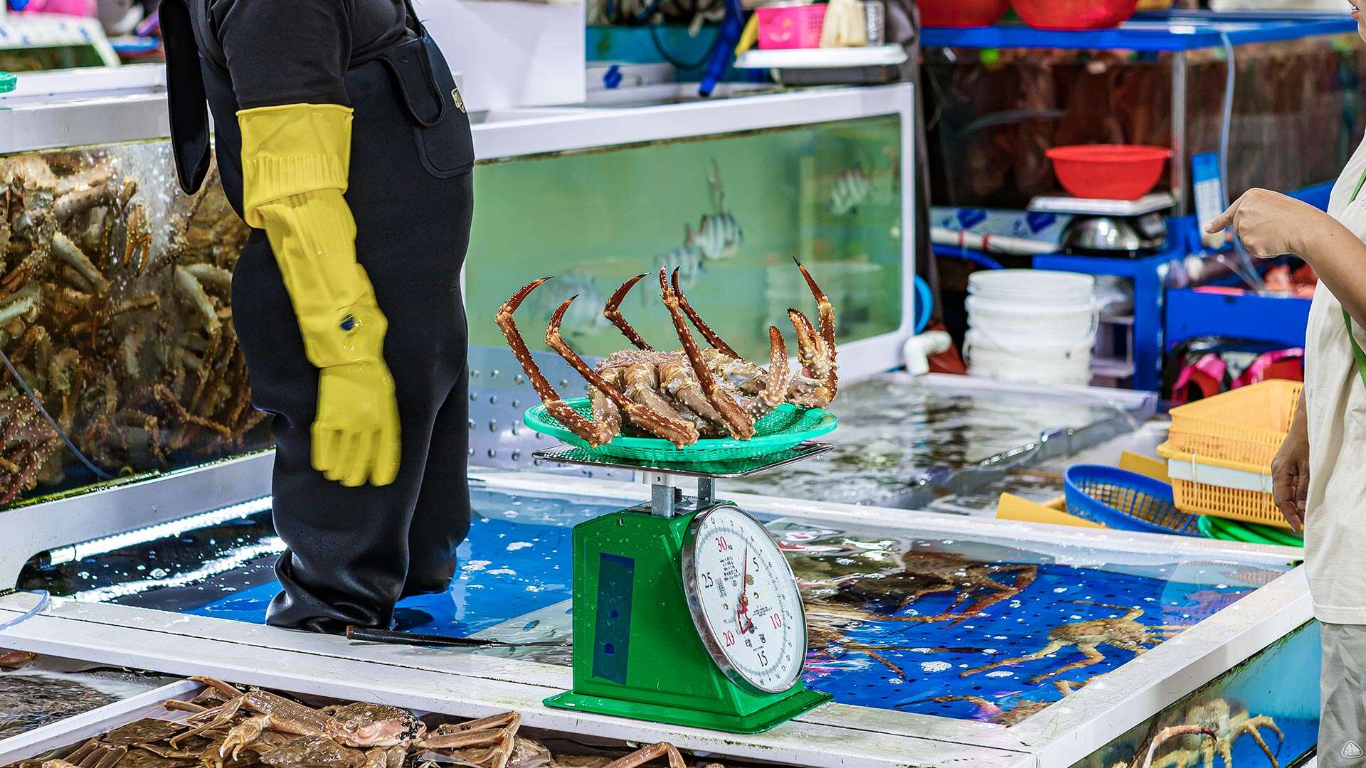 주문진수산시장 판매대 상품 02