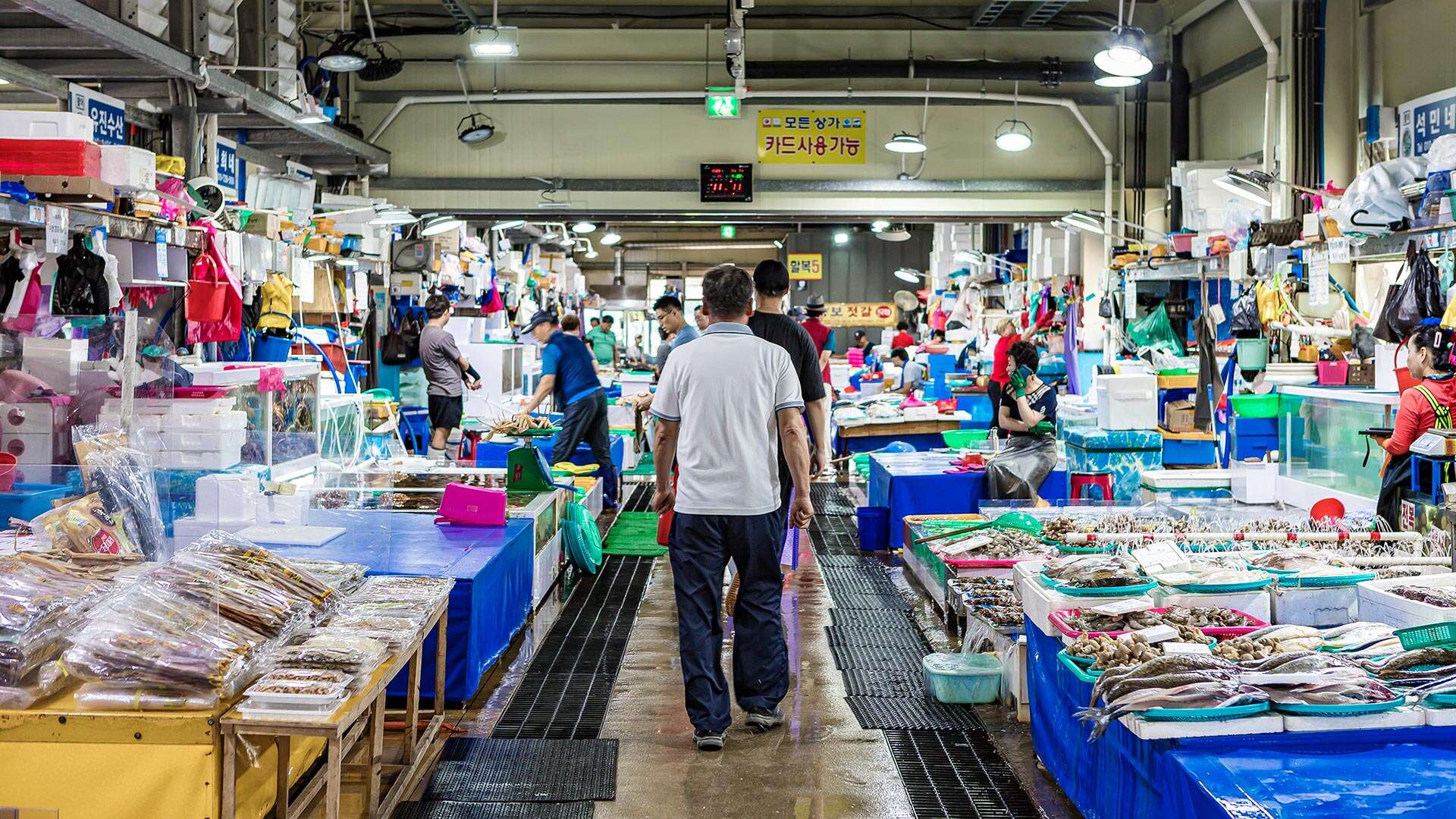 주문진수산시장에서 구매 중인 사람들
